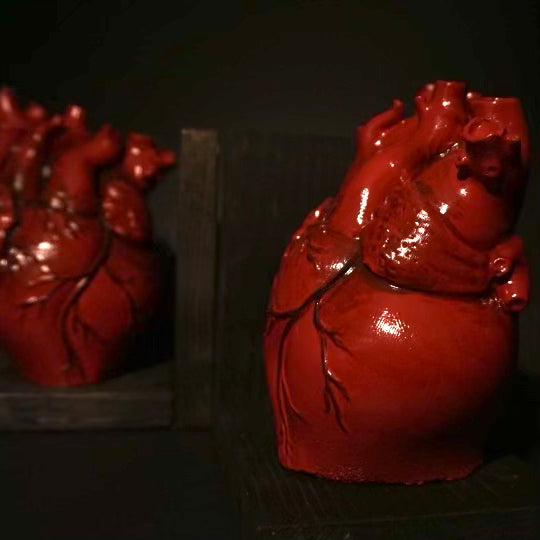Anatomical Bookends