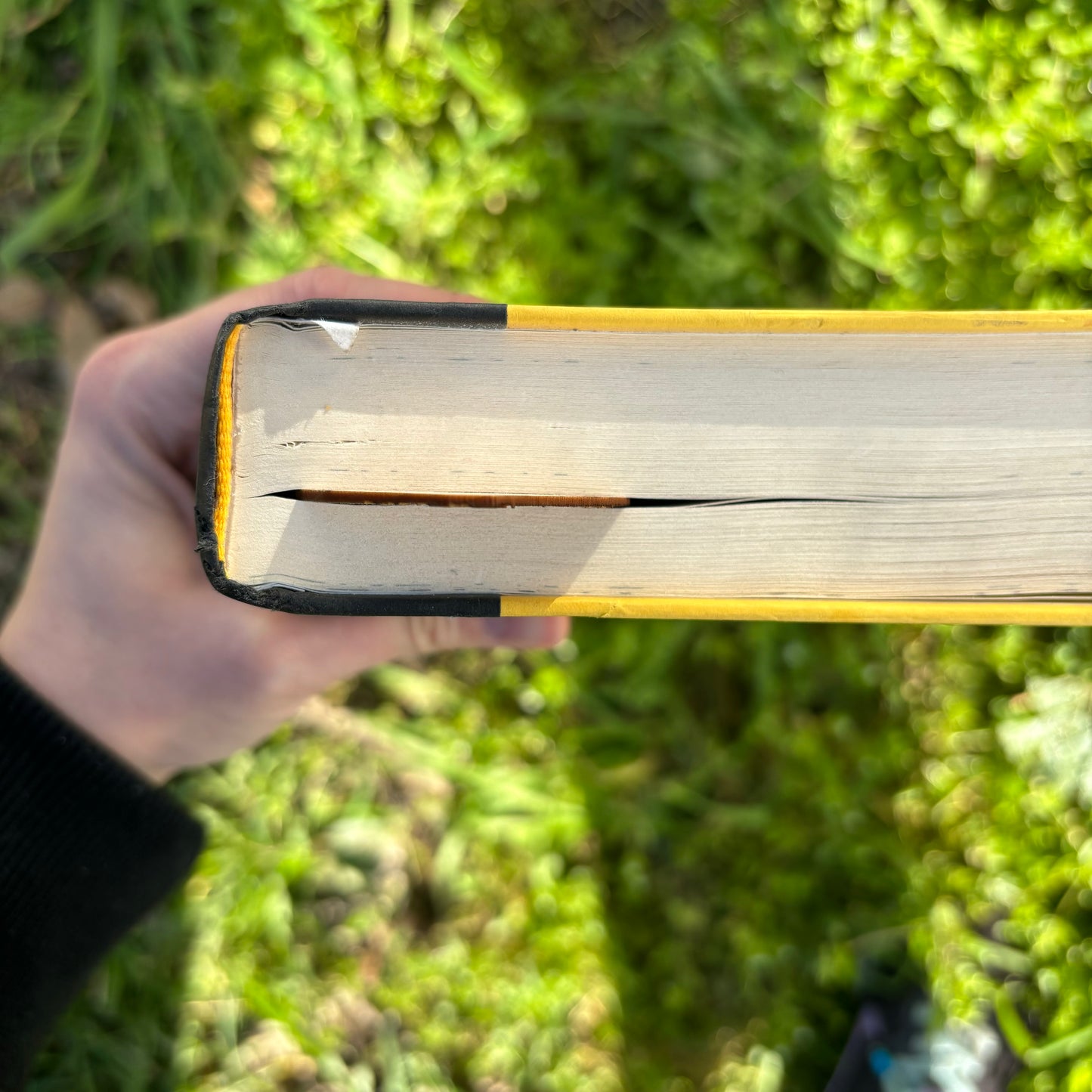 Fairy Door Wooden Bookmark