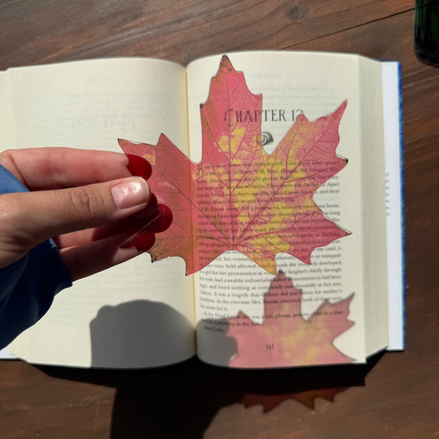 Autumn Leaf Transparent Bookmark