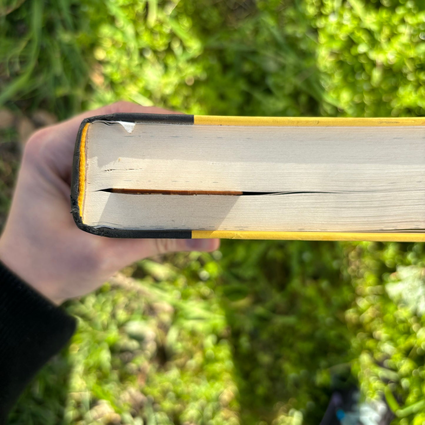 Halfling Home Wooden Bookmark