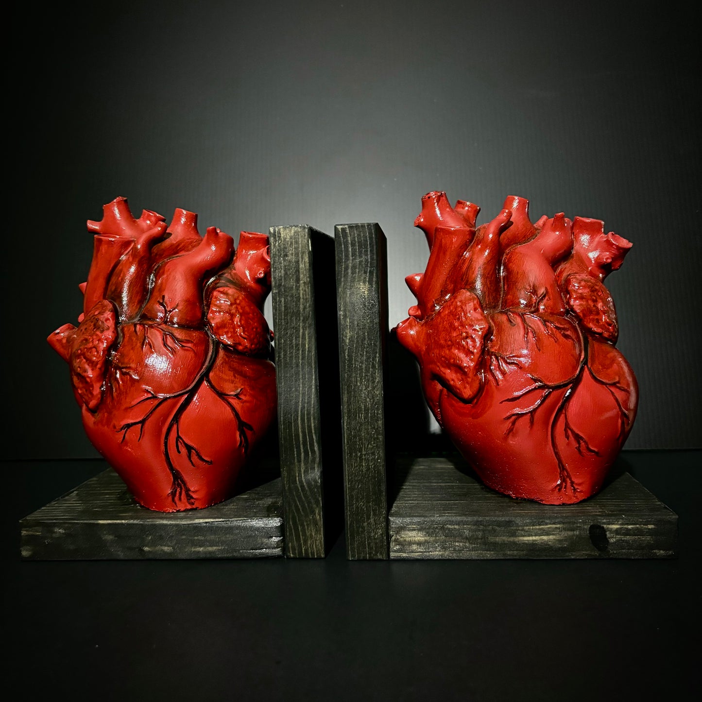 Anatomical Bookends