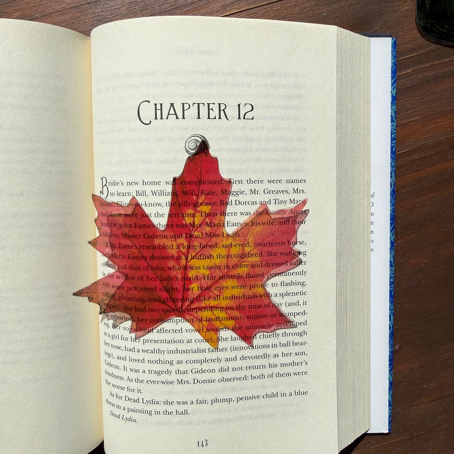 Autumn Leaf Transparent Bookmark