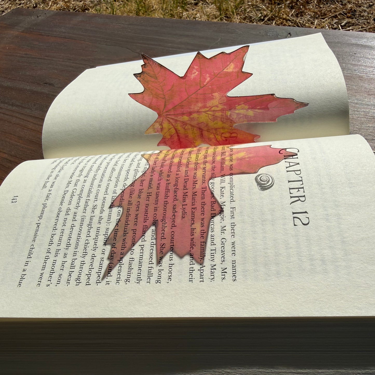 Autumn Leaf Transparent Bookmark