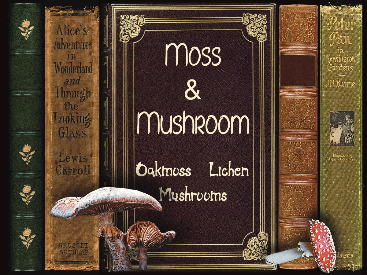 Moss and Mushroom Candle