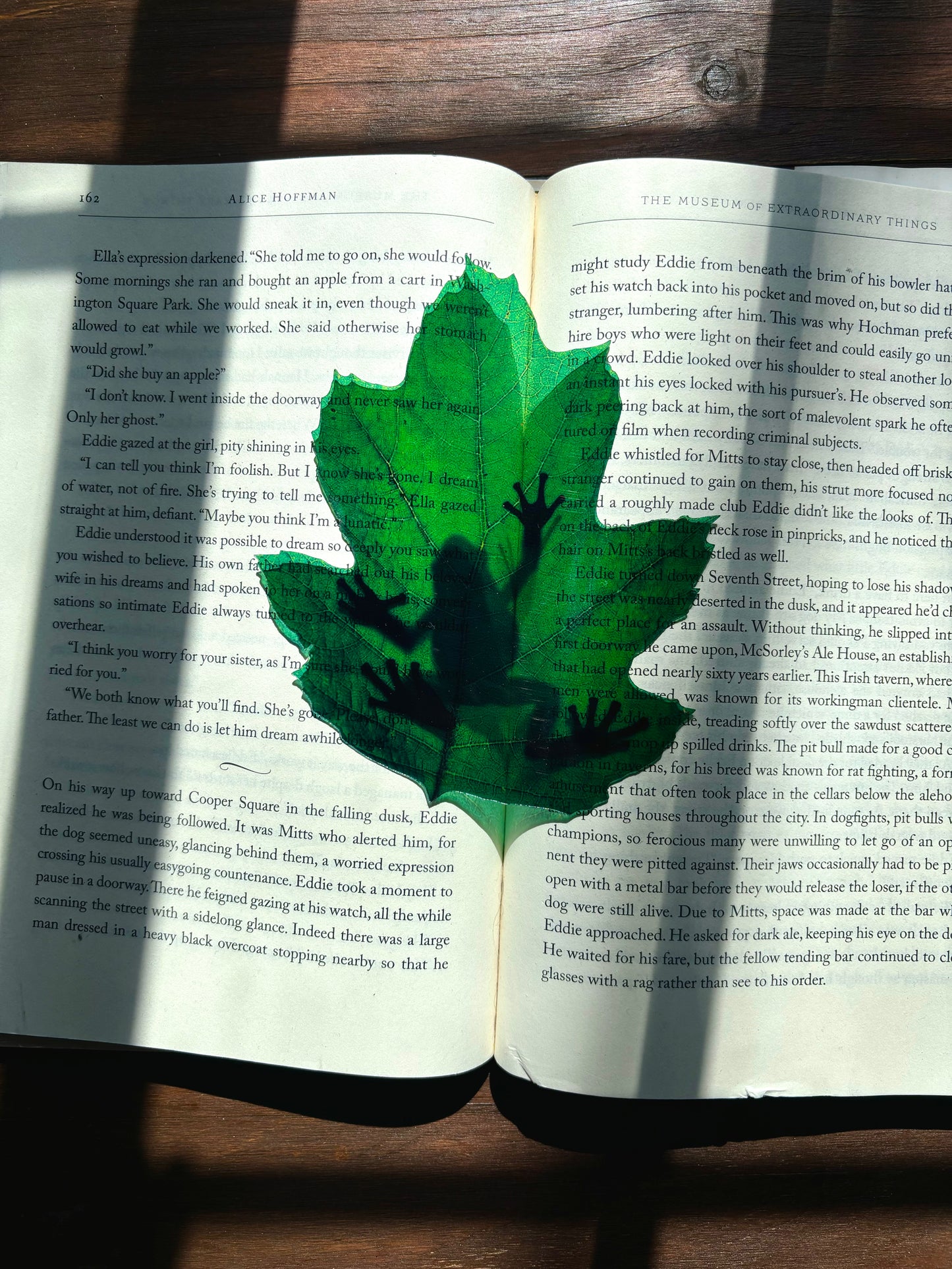 Tree Frog Translucent Bookmark