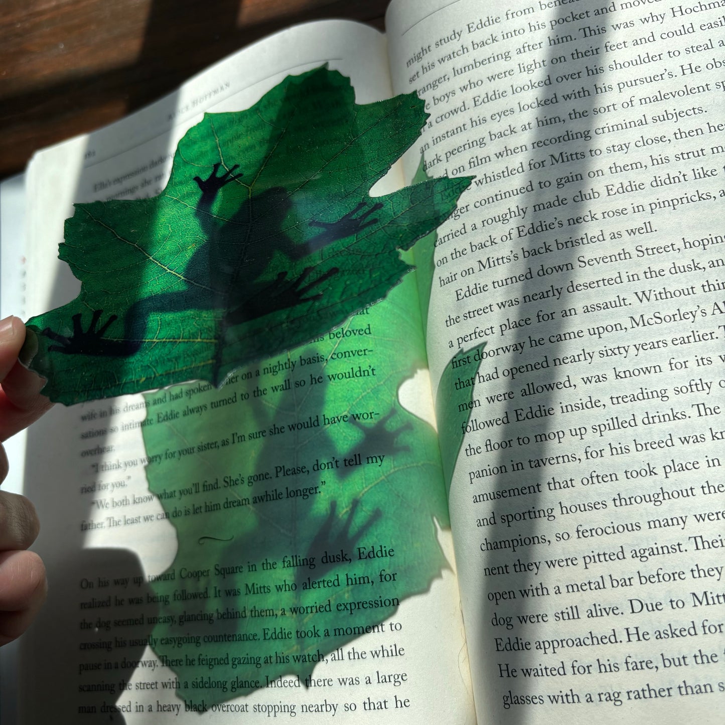 Tree Frog Translucent Bookmark