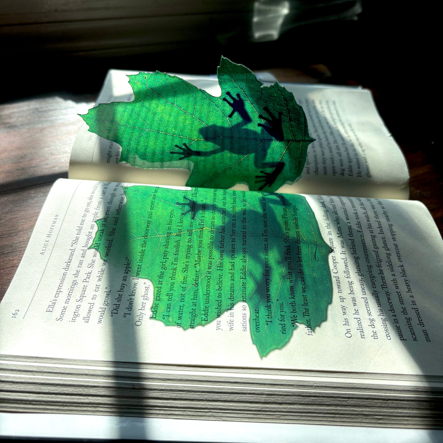 Tree Frog Translucent Bookmark